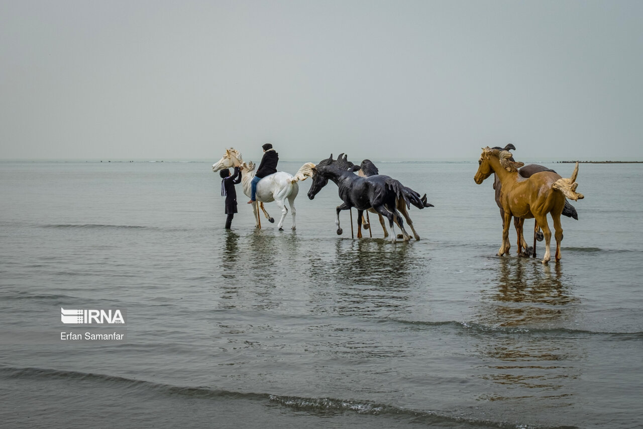 خلیج فارس؛زیباترین خط ساحلی ایران(عکس)