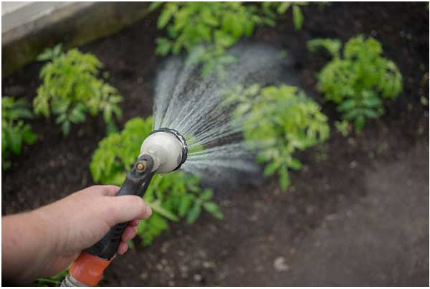 چرا باید برای باغچه از آبپاش شیلنگ استفاده کنید؟