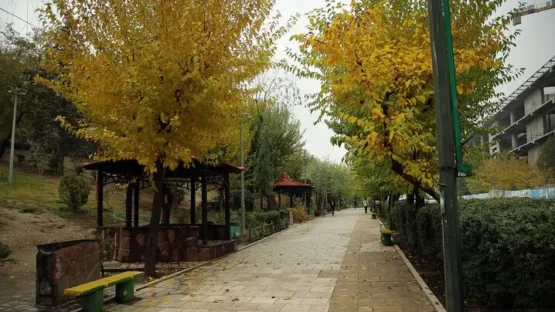 دلبرانه با پاییز دلبرانه با پاییز