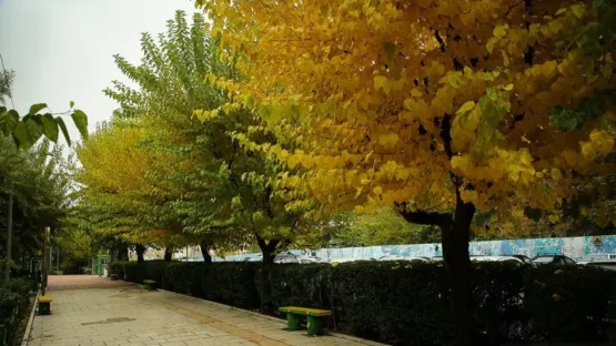 دلبرانه با پاییز دلبرانه با پاییز