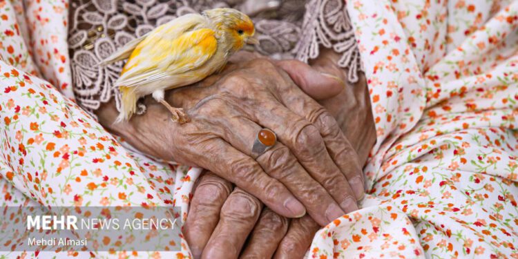 تصویری خاص از لحظه‌های گم شده